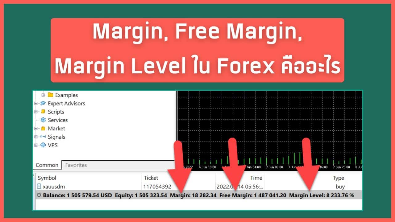Margin Free Margin Margin Level ใน Forex คืออะไร