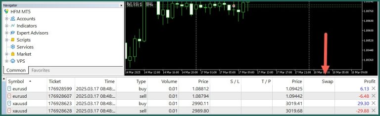 HFM Swap 2025 2